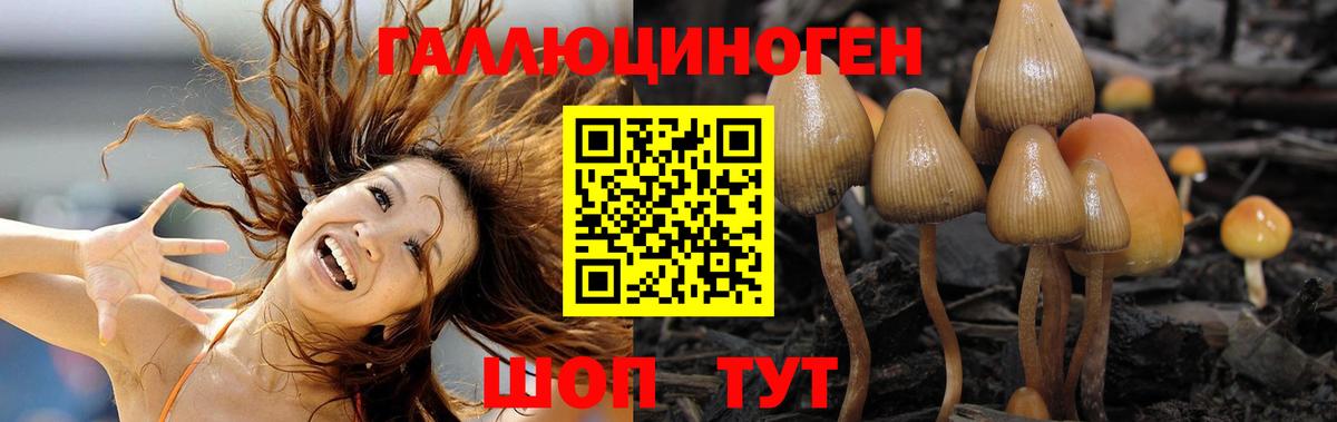 Галлюциногенные грибы ЛСД Брянск
