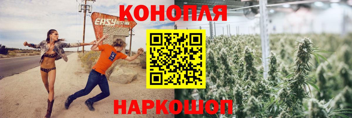 Бошки Шишки VHQ Брянск